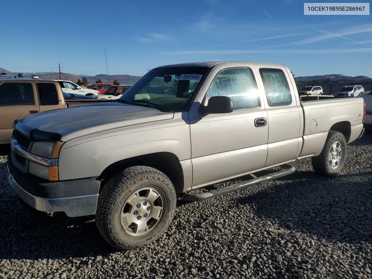 2005 Chevrolet Silverado K1500 VIN: 1GCEK19B95E286967 Lot: 79692494