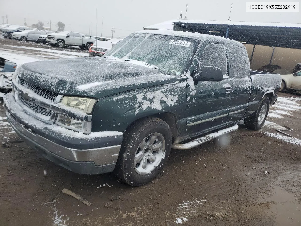 2005 Chevrolet Silverado C1500 VIN: 1GCEC19X55Z202919 Lot: 79869154