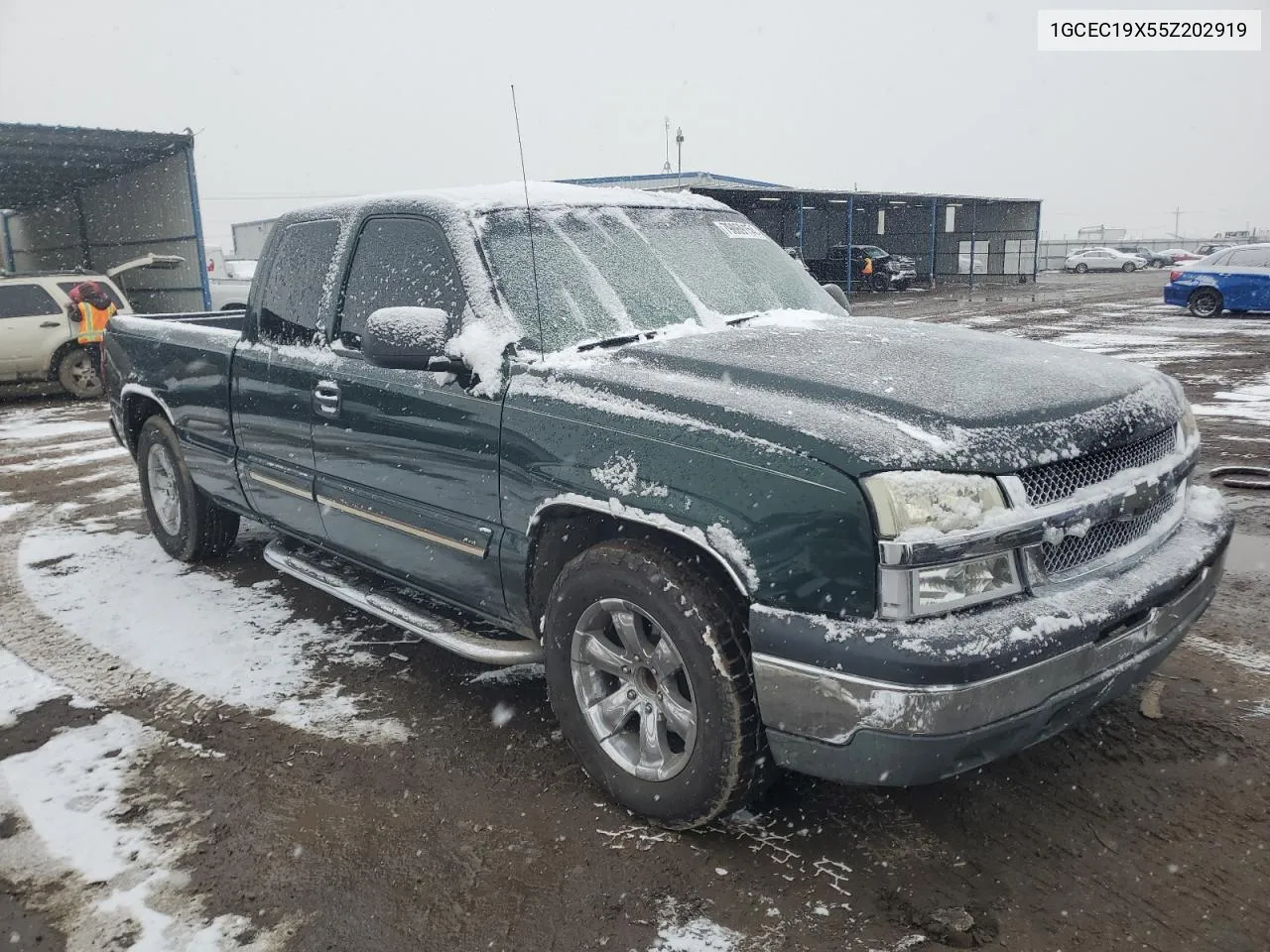 2005 Chevrolet Silverado C1500 VIN: 1GCEC19X55Z202919 Lot: 79869154