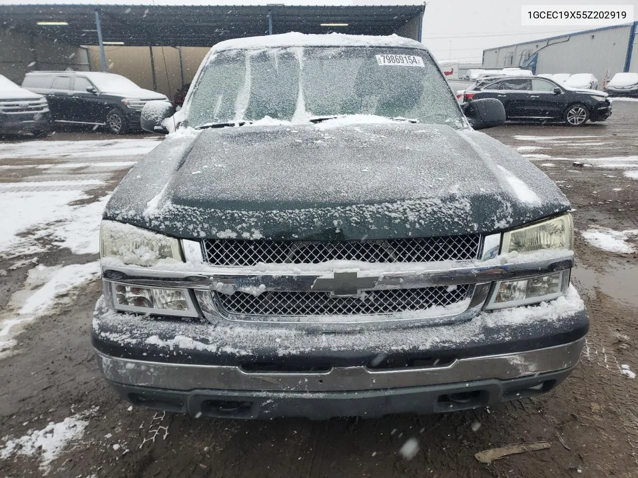 2005 Chevrolet Silverado C1500 VIN: 1GCEC19X55Z202919 Lot: 79869154