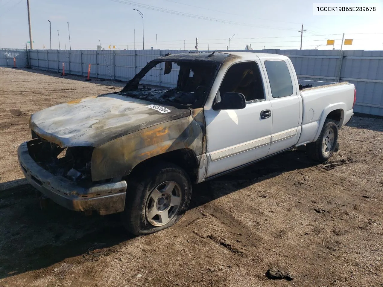 2005 Chevrolet Silverado K1500 VIN: 1GCEK19B65E289678 Lot: 79952694