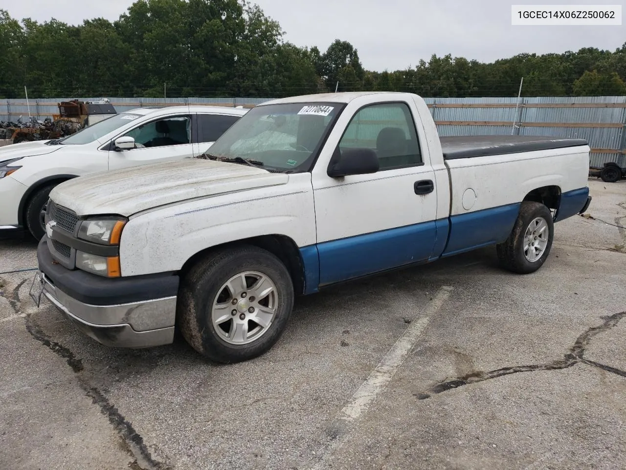 2006 Chevrolet Silverado C1500 VIN: 1GCEC14X06Z250062 Lot: 72770644