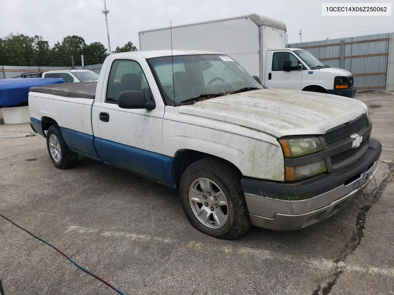 2006 Chevrolet Silverado C1500 VIN: 1GCEC14X06Z250062 Lot: 72770644