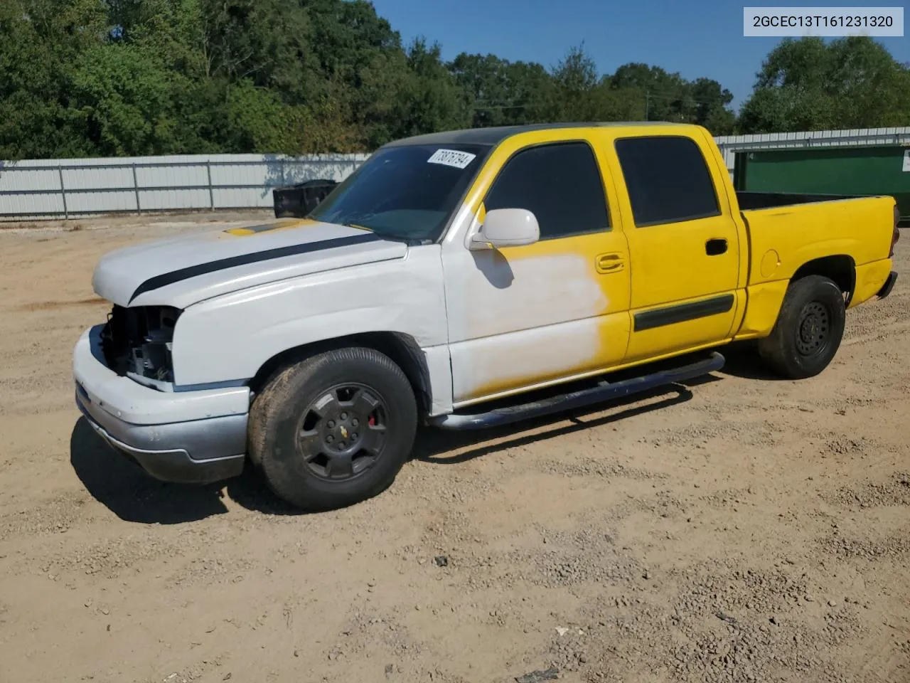 2006 Chevrolet Silverado C1500 VIN: 2GCEC13T161231320 Lot: 73876794