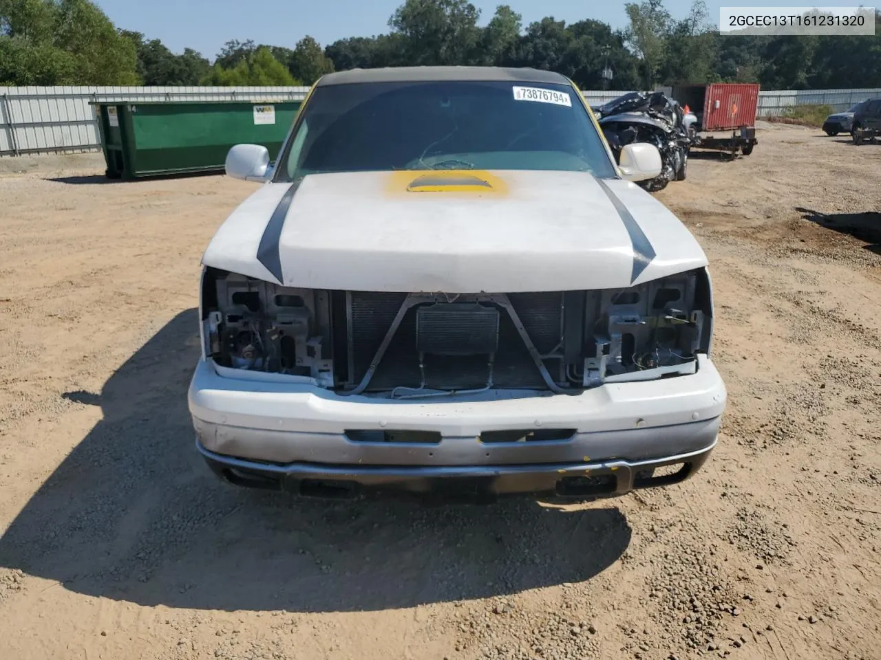 2006 Chevrolet Silverado C1500 VIN: 2GCEC13T161231320 Lot: 73876794