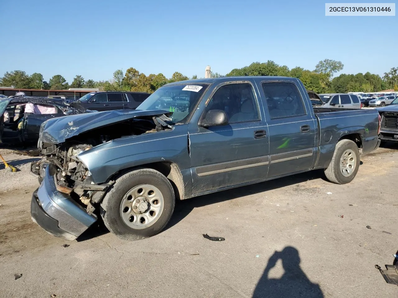 2006 Chevrolet Silverado C1500 VIN: 2GCEC13V061310446 Lot: 75220384