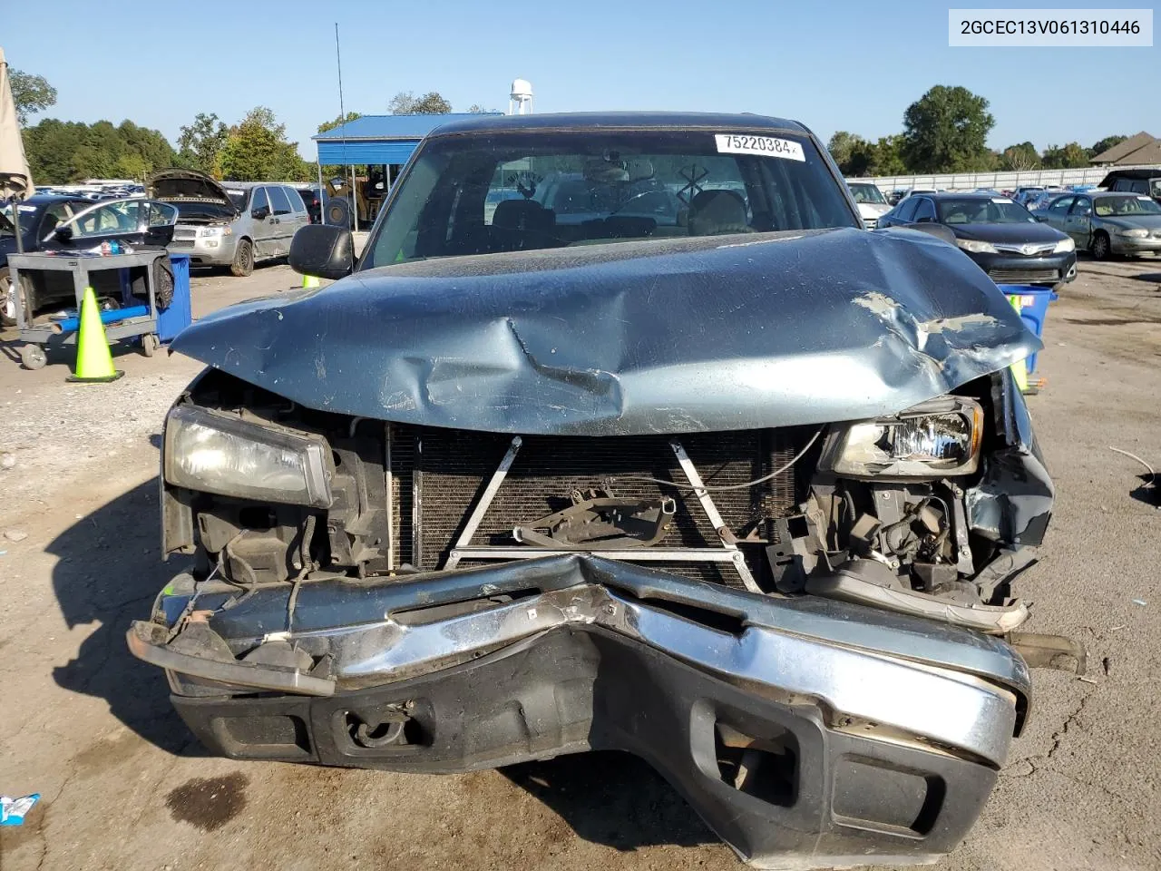 2006 Chevrolet Silverado C1500 VIN: 2GCEC13V061310446 Lot: 75220384