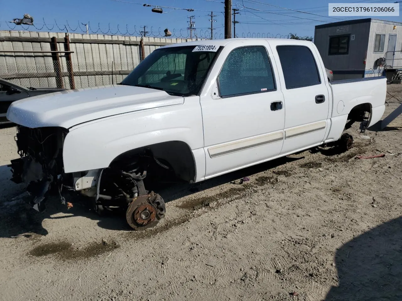 2006 Chevrolet Silverado C1500 VIN: 2GCEC13T961206066 Lot: 75351804