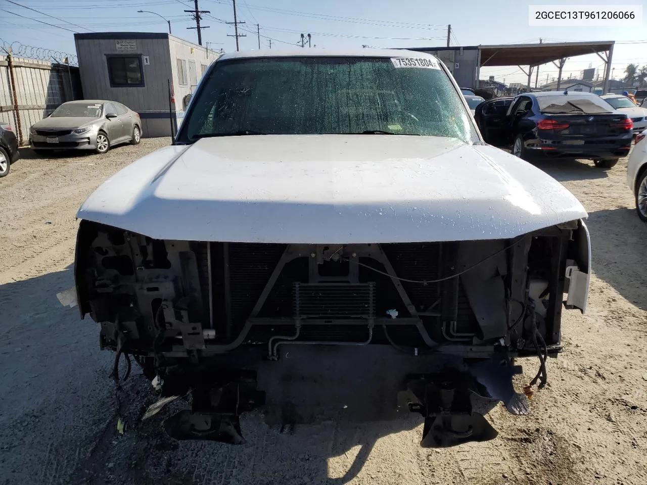 2006 Chevrolet Silverado C1500 VIN: 2GCEC13T961206066 Lot: 75351804