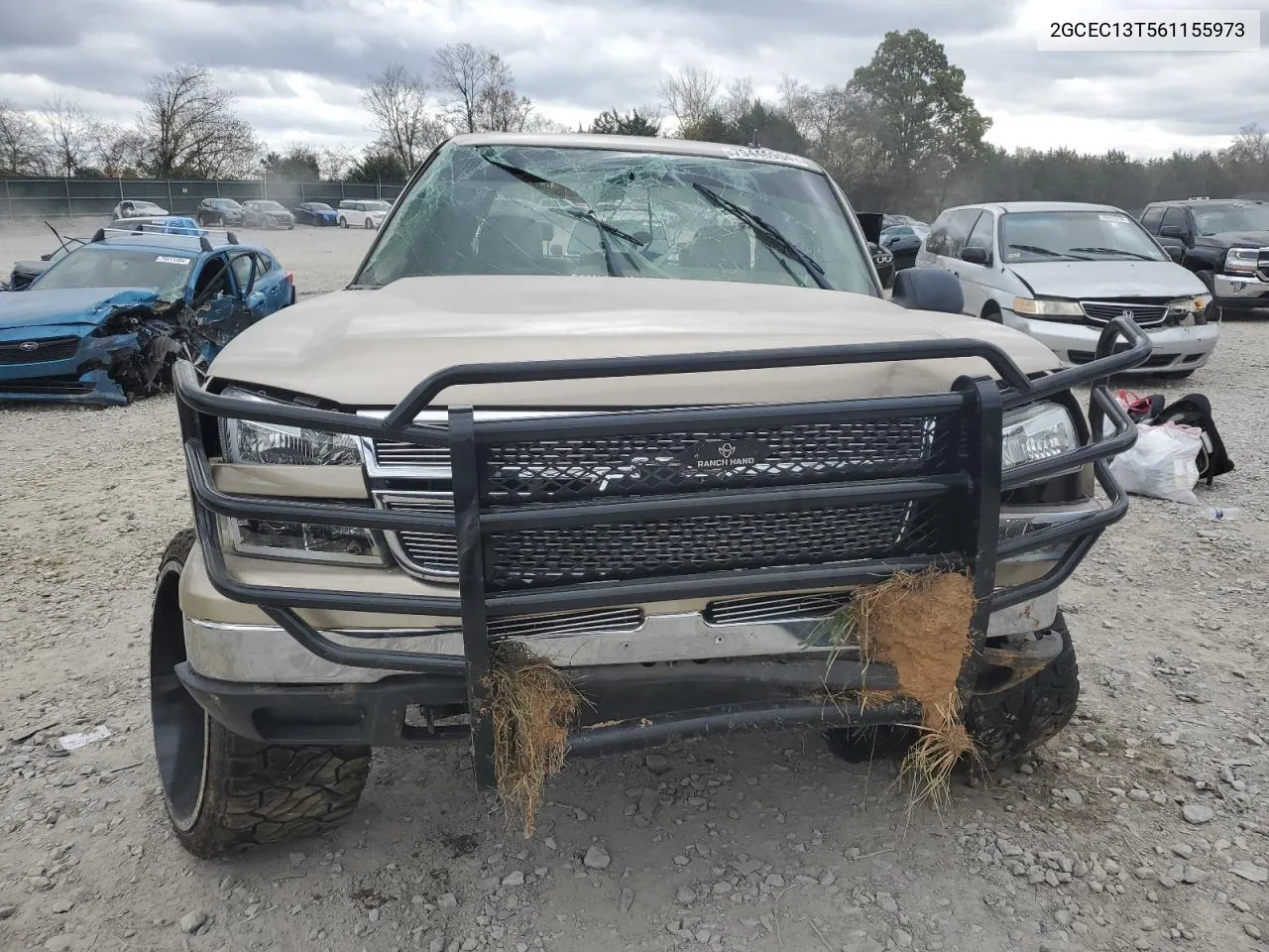 2006 Chevrolet Silverado C1500 VIN: 2GCEC13T561155973 Lot: 79446904