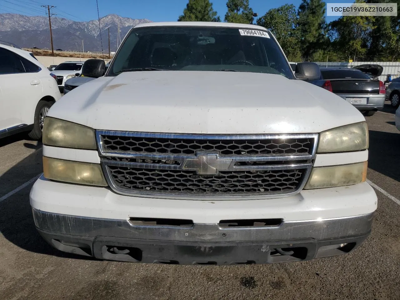 2006 Chevrolet Silverado C1500 VIN: 1GCEC19V36Z210663 Lot: 79664184