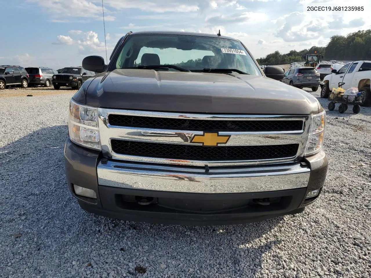 2008 Chevrolet Silverado C1500 VIN: 2GCEC19J681235985 Lot: 73951054