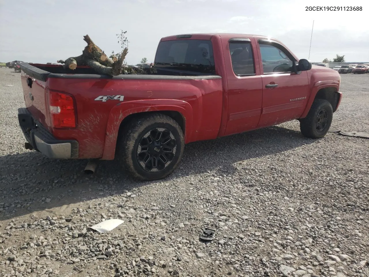 2009 Chevrolet Silverado K1500 VIN: 2GCEK19C291123688 Lot: 56923434