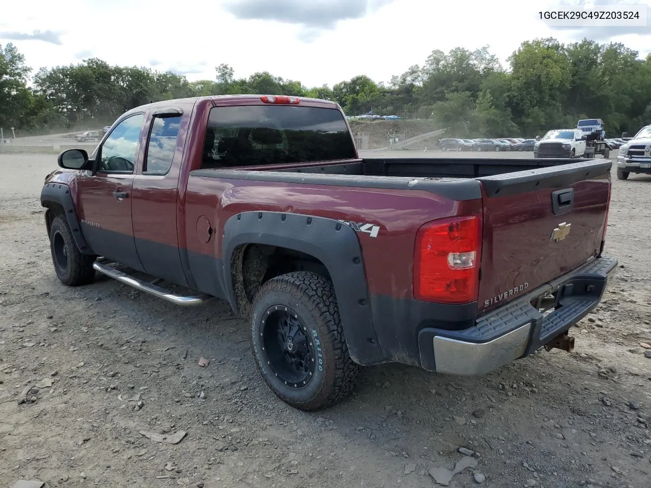 2009 Chevrolet Silverado K1500 Lt VIN: 1GCEK29C49Z203524 Lot: 66567724