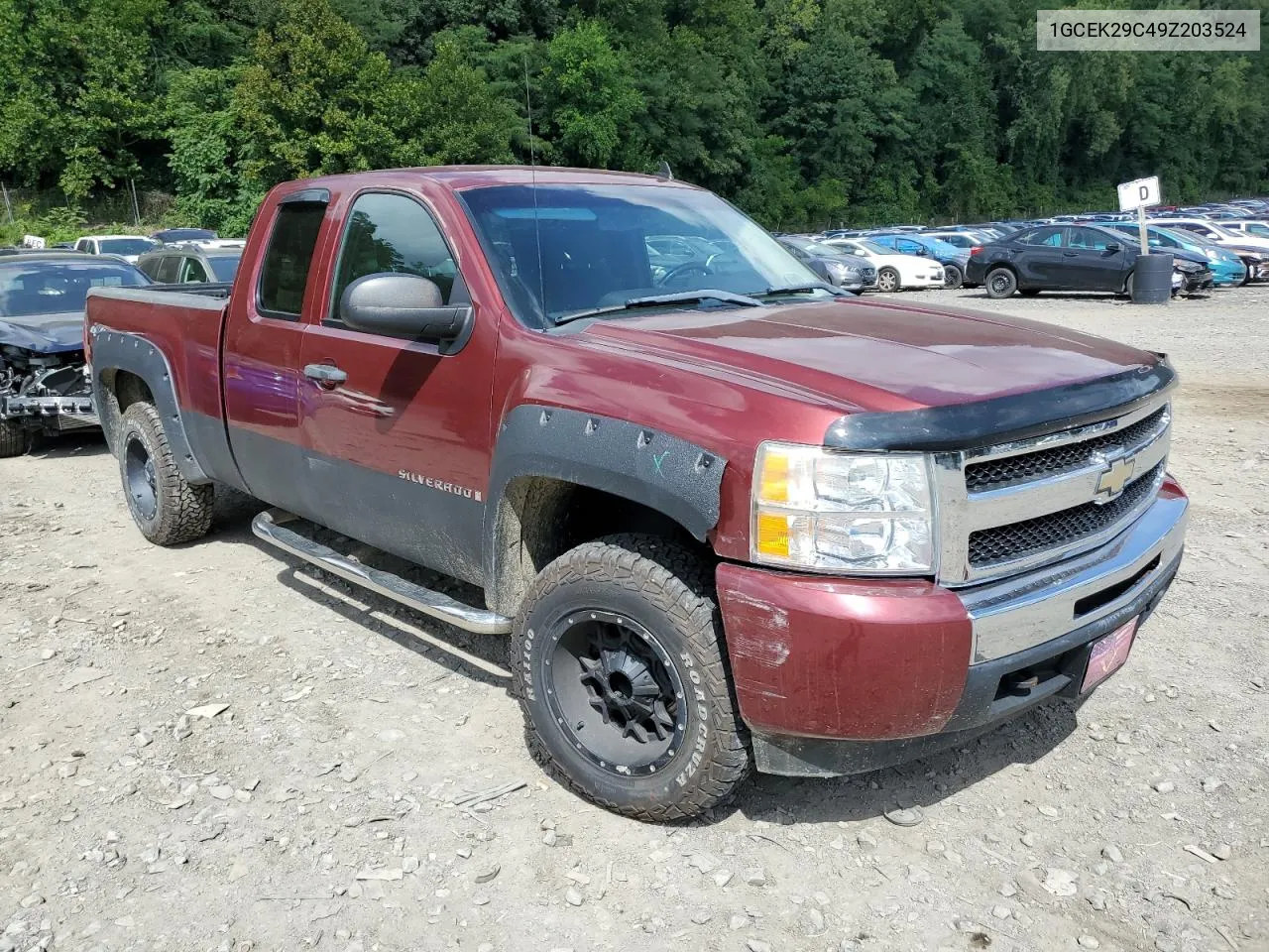 2009 Chevrolet Silverado K1500 Lt VIN: 1GCEK29C49Z203524 Lot: 66567724