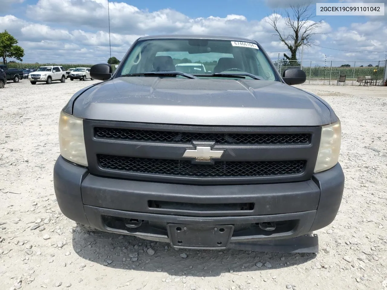 2009 Chevrolet Silverado K1500 VIN: 2GCEK19C991101042 Lot: 67466104