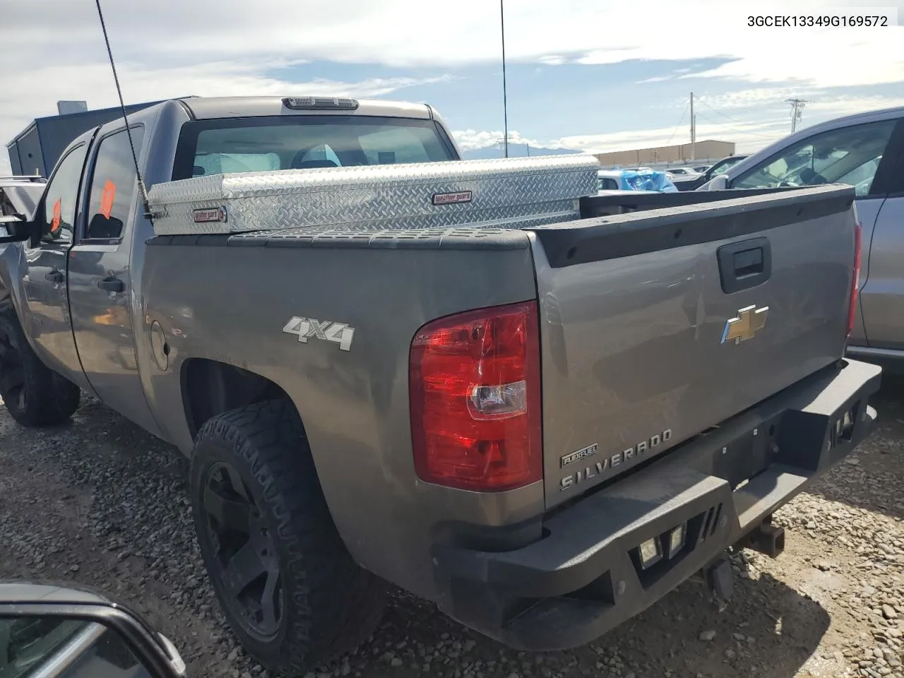 2009 Chevrolet Silverado K1500 VIN: 3GCEK13349G169572 Lot: 71578354