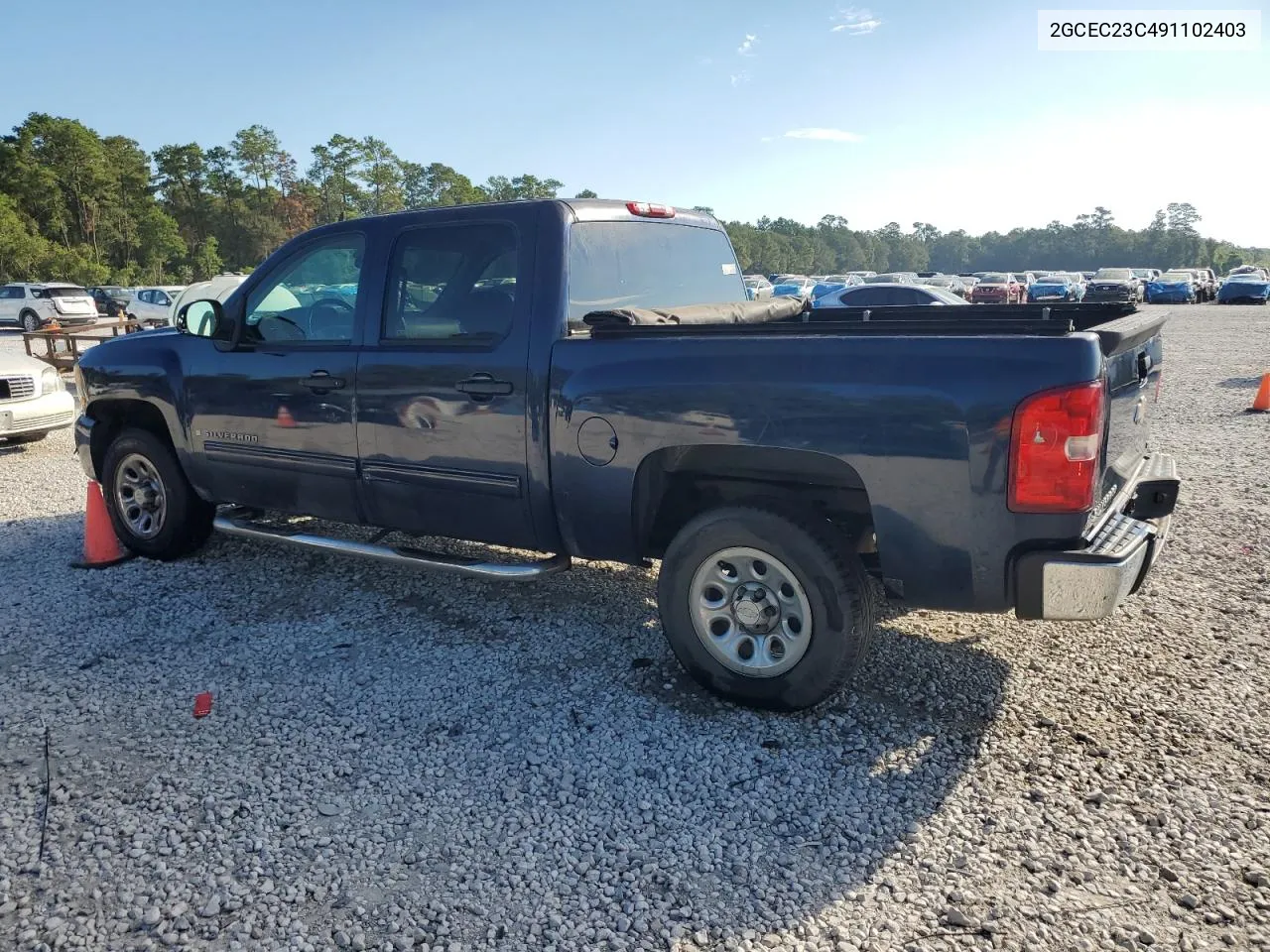 2009 Chevrolet Silverado C1500 Lt VIN: 2GCEC23C491102403 Lot: 74260974