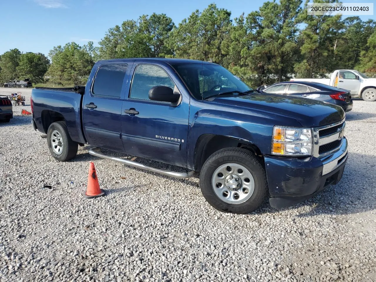 2009 Chevrolet Silverado C1500 Lt VIN: 2GCEC23C491102403 Lot: 74260974