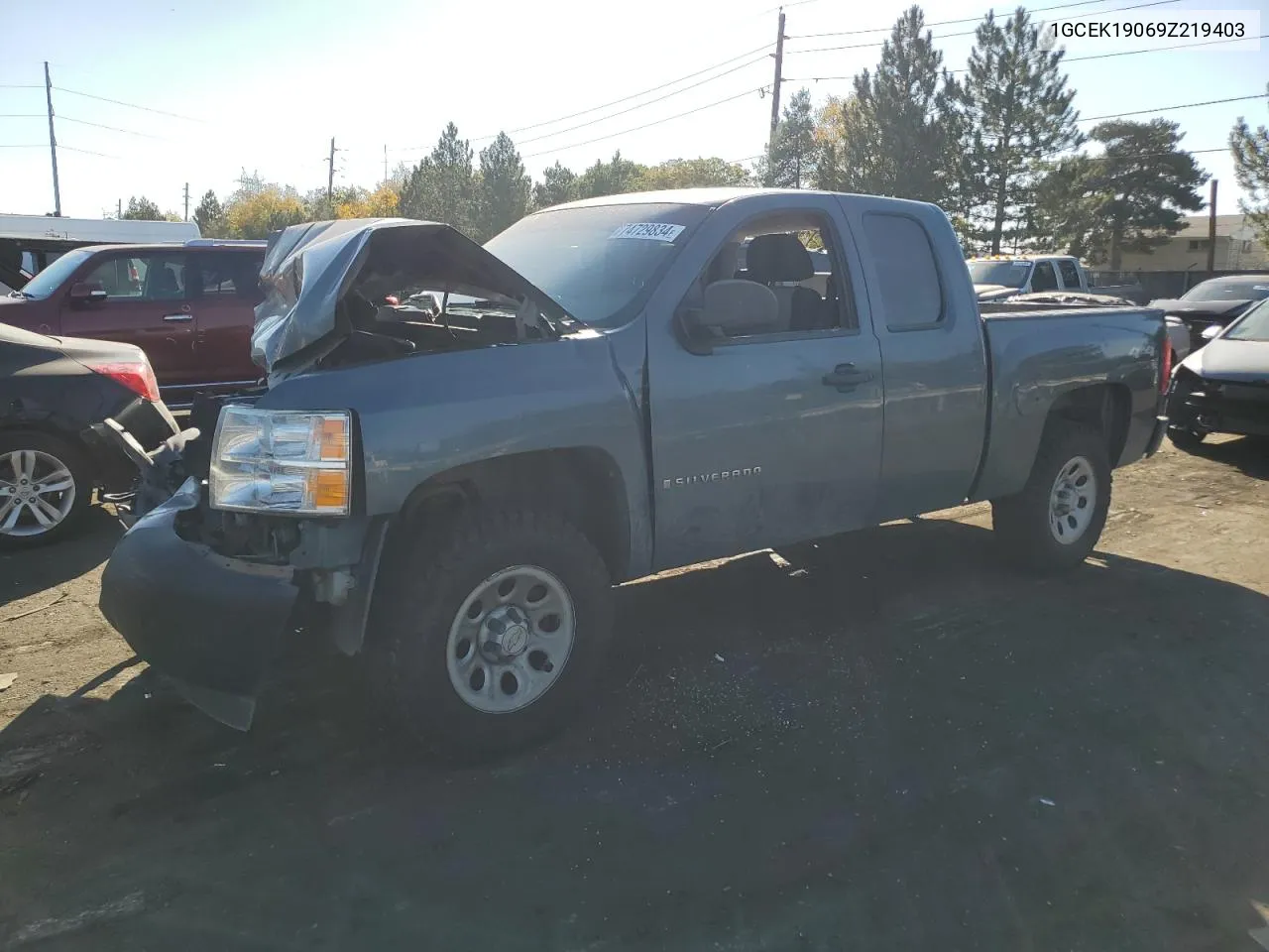 2009 Chevrolet Silverado K1500 VIN: 1GCEK19069Z219403 Lot: 74729834