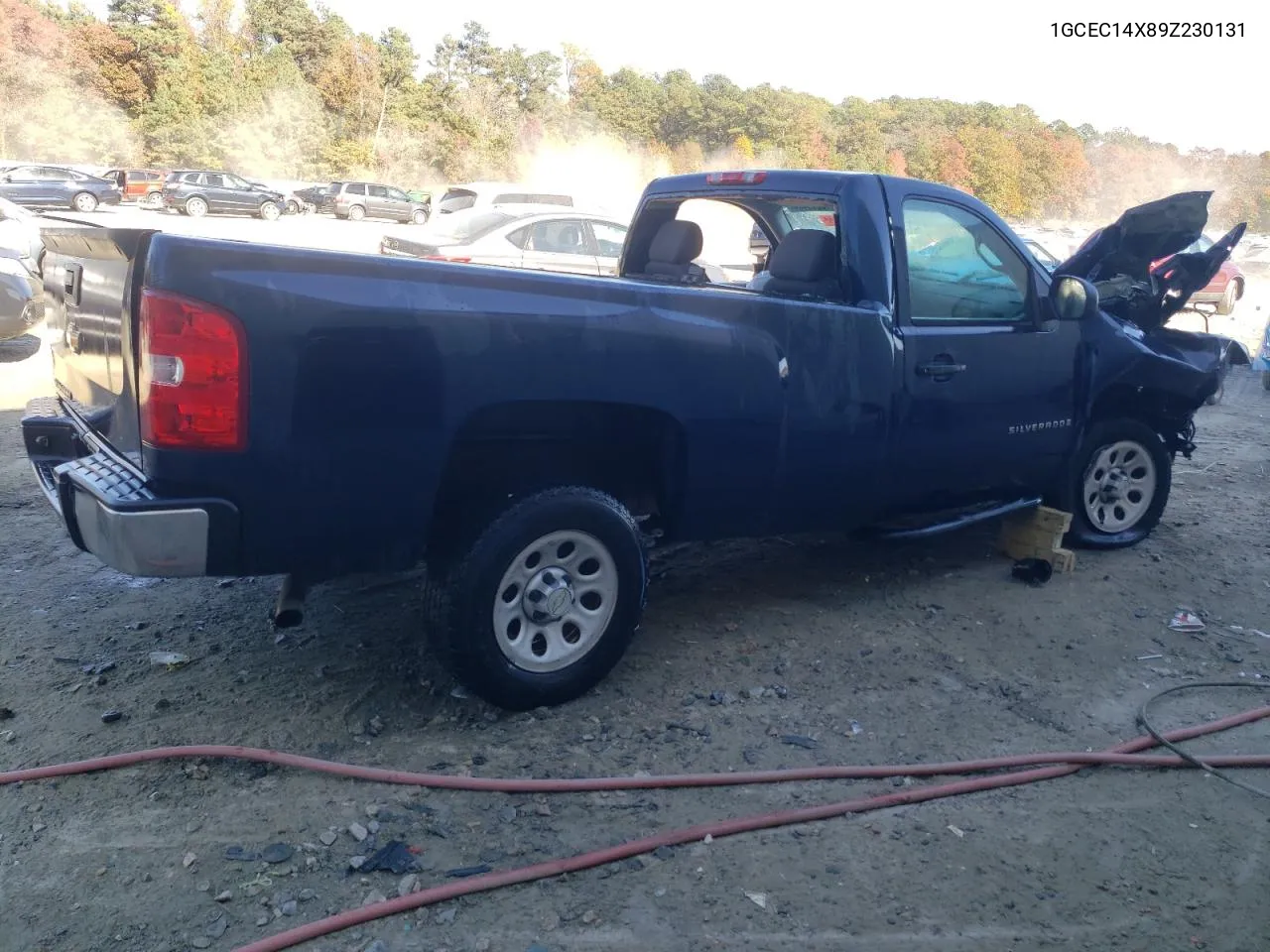 2009 Chevrolet Silverado C1500 VIN: 1GCEC14X89Z230131 Lot: 78019464