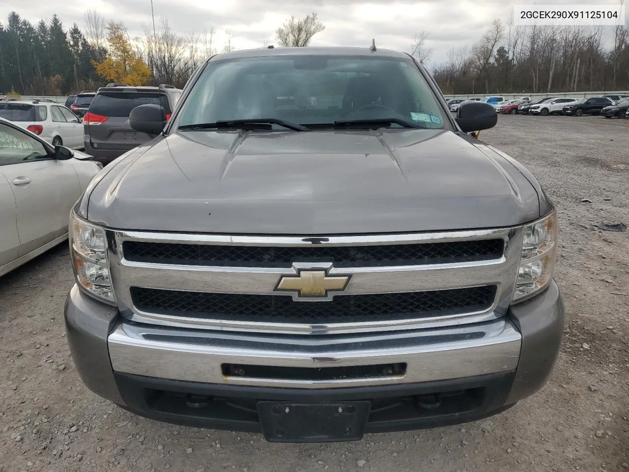 2009 Chevrolet Silverado K1500 Lt VIN: 2GCEK290X91125104 Lot: 78787694