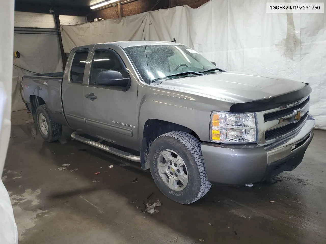 2009 Chevrolet Silverado K1500 Lt VIN: 1GCEK29J19Z231750 Lot: 79425454