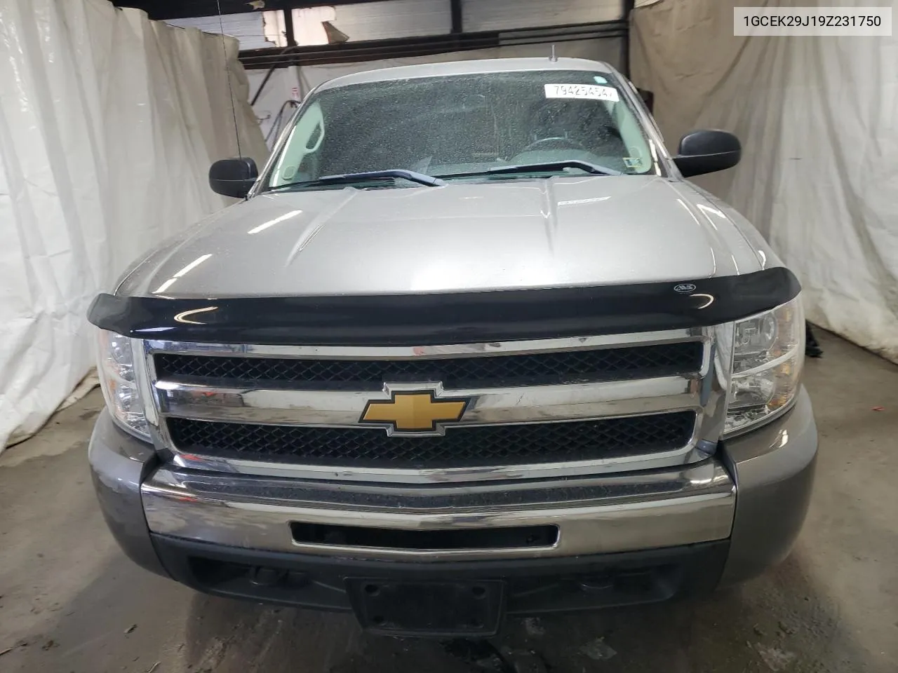 2009 Chevrolet Silverado K1500 Lt VIN: 1GCEK29J19Z231750 Lot: 79425454