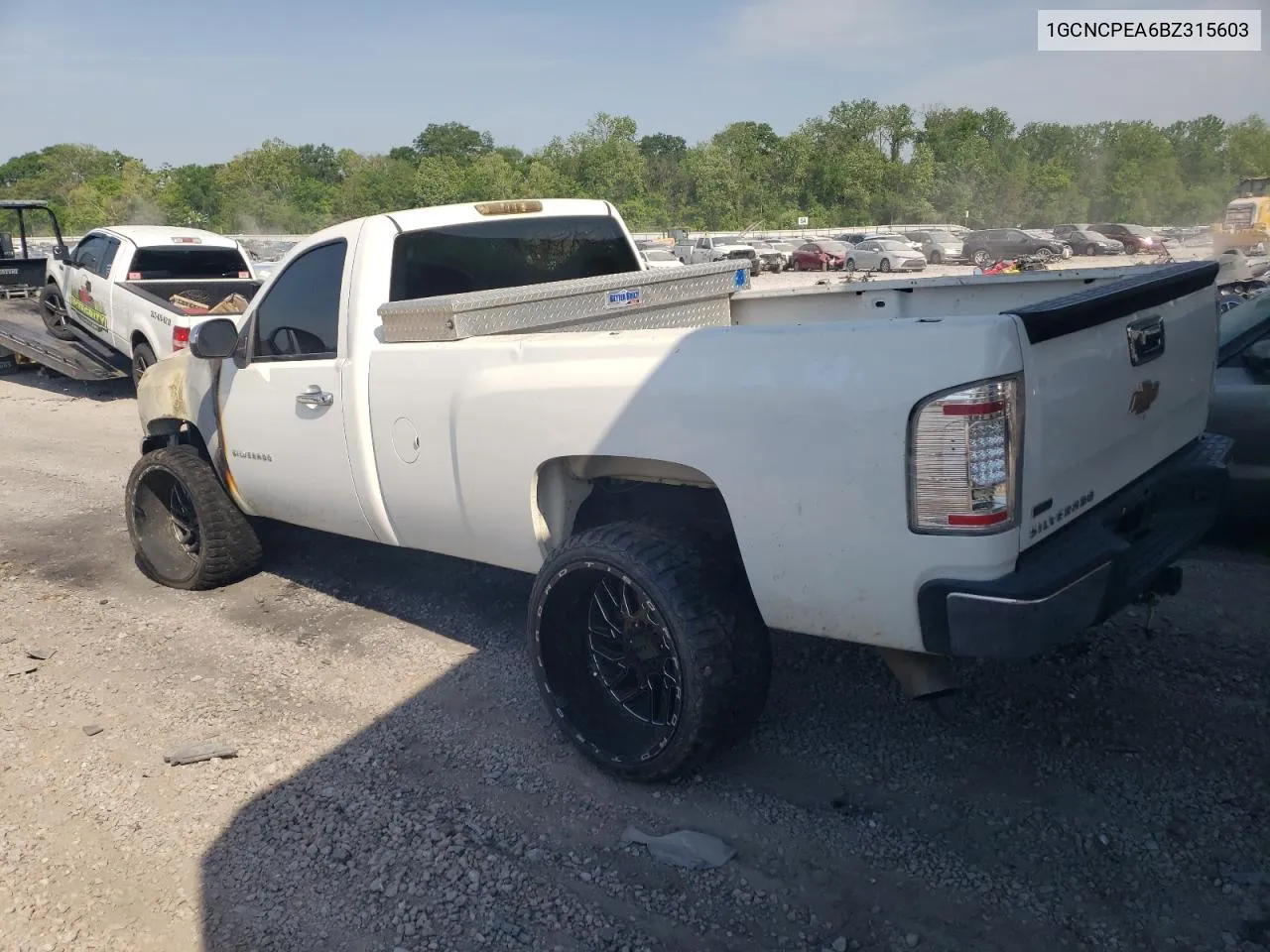 2011 Chevrolet Silverado C1500 VIN: 1GCNCPEA6BZ315603 Lot: 52561474