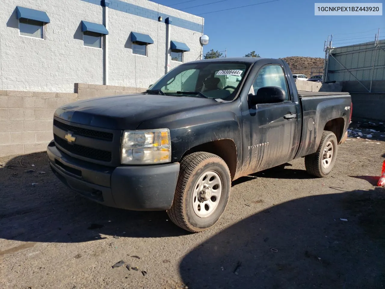 2011 Chevrolet Silverado K1500 VIN: 1GCNKPEX1BZ443920 Lot: 79308444