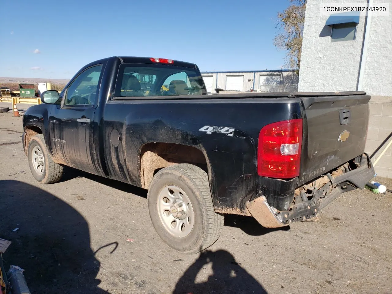 2011 Chevrolet Silverado K1500 VIN: 1GCNKPEX1BZ443920 Lot: 79308444