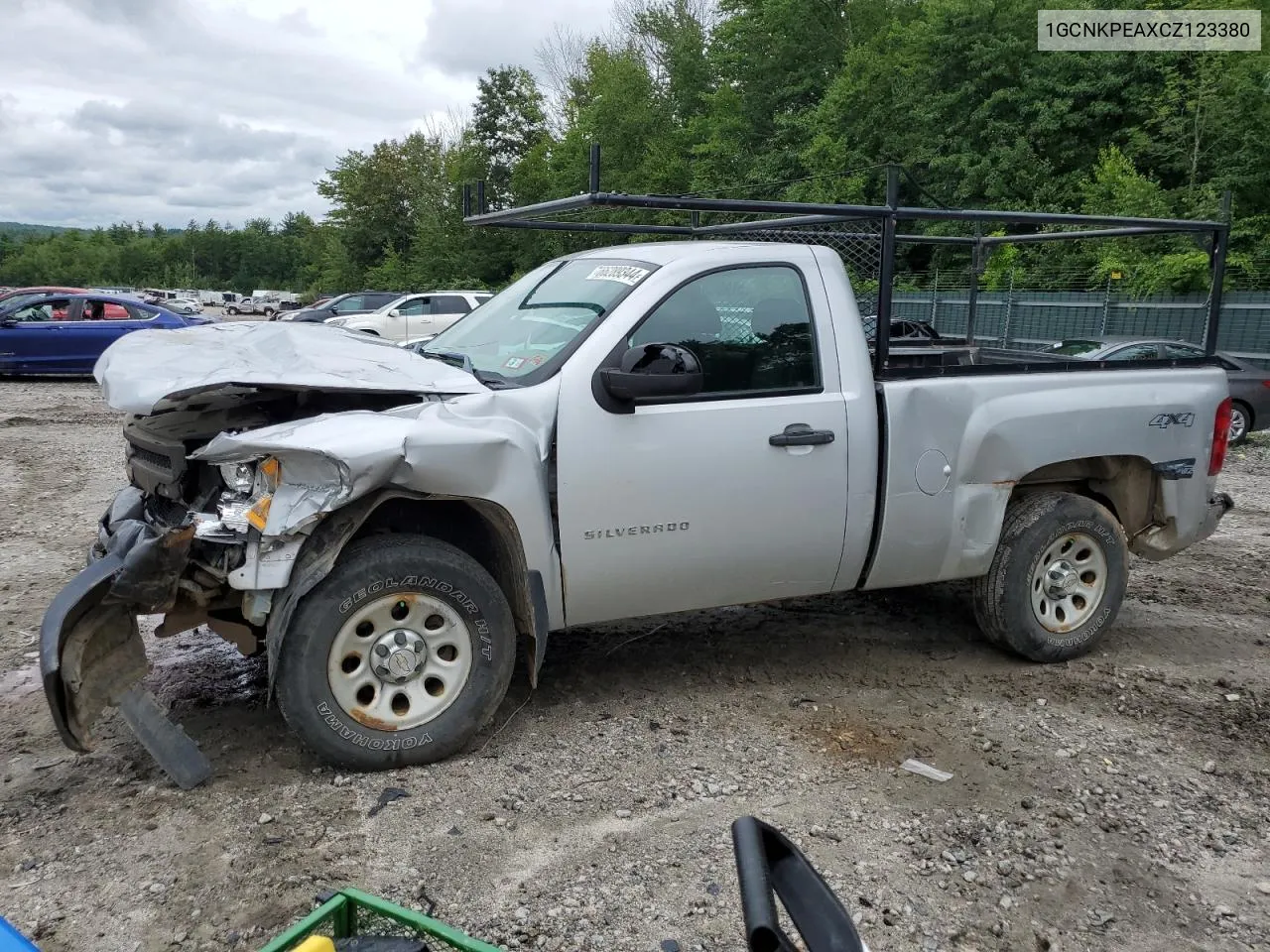 2012 Chevrolet Silverado K1500 VIN: 1GCNKPEAXCZ123380 Lot: 66289344