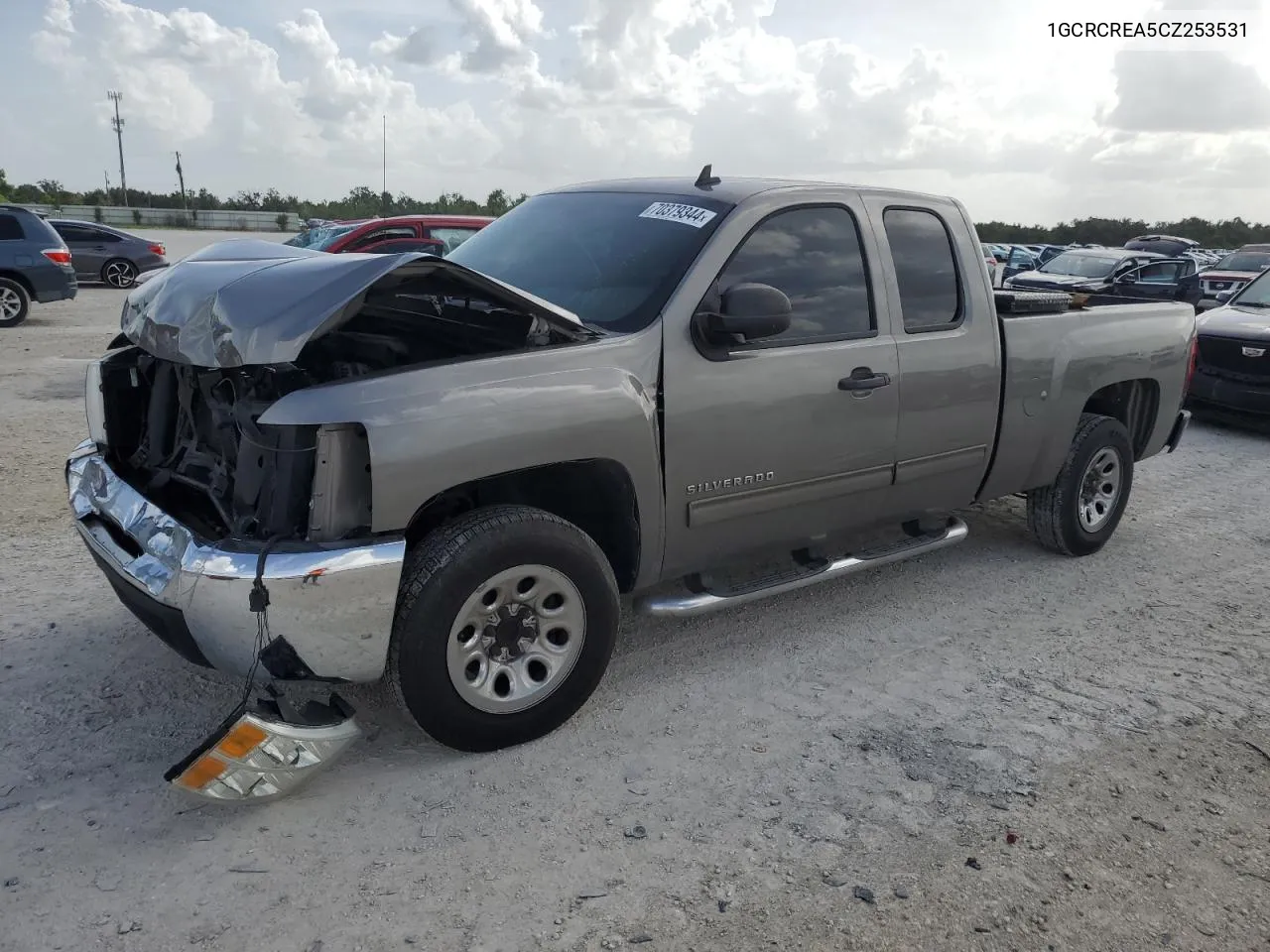 2012 Chevrolet Silverado C1500 Ls VIN: 1GCRCREA5CZ253531 Lot: 70379344