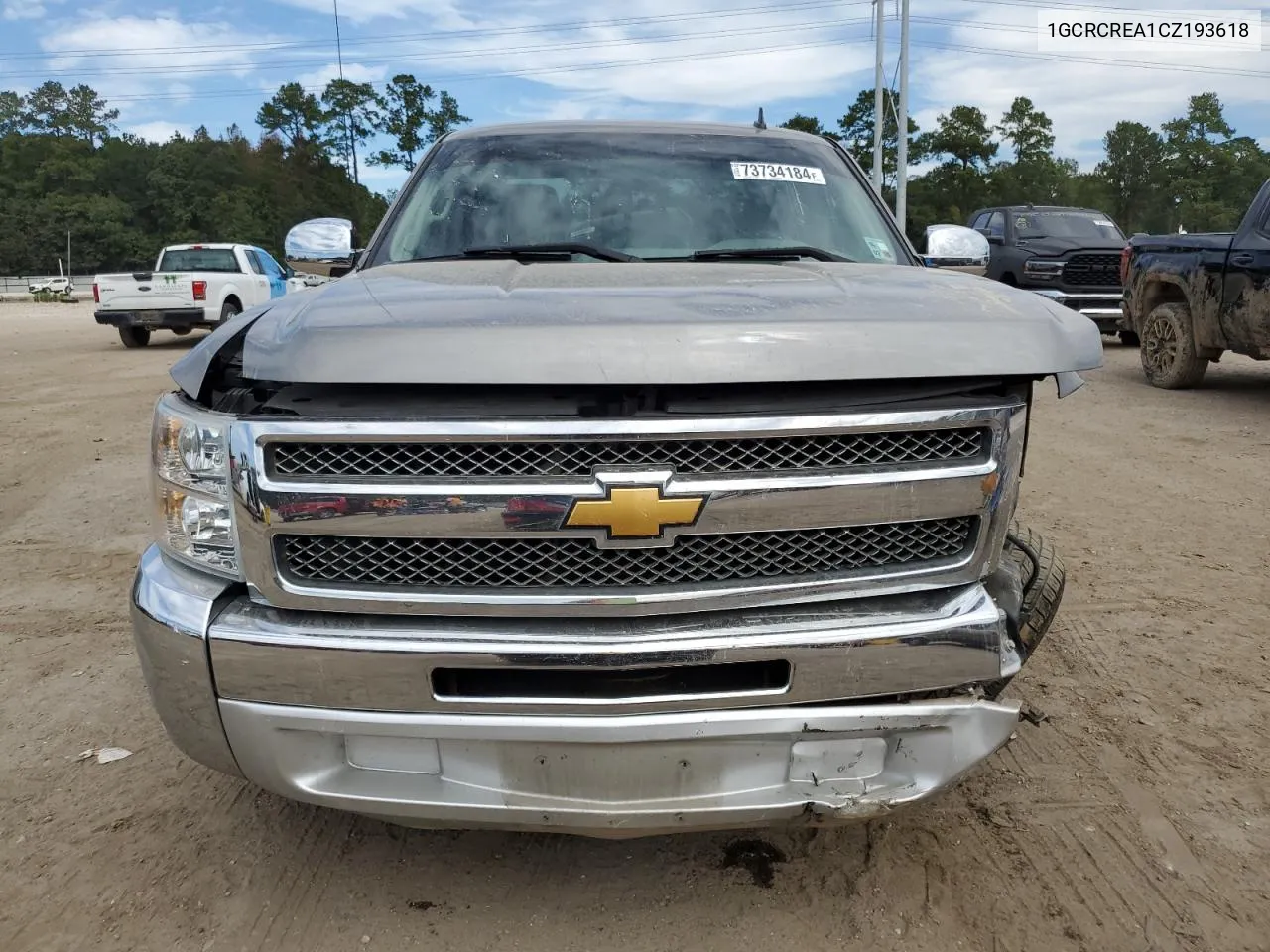 2012 Chevrolet Silverado C1500 Ls VIN: 1GCRCREA1CZ193618 Lot: 73734184