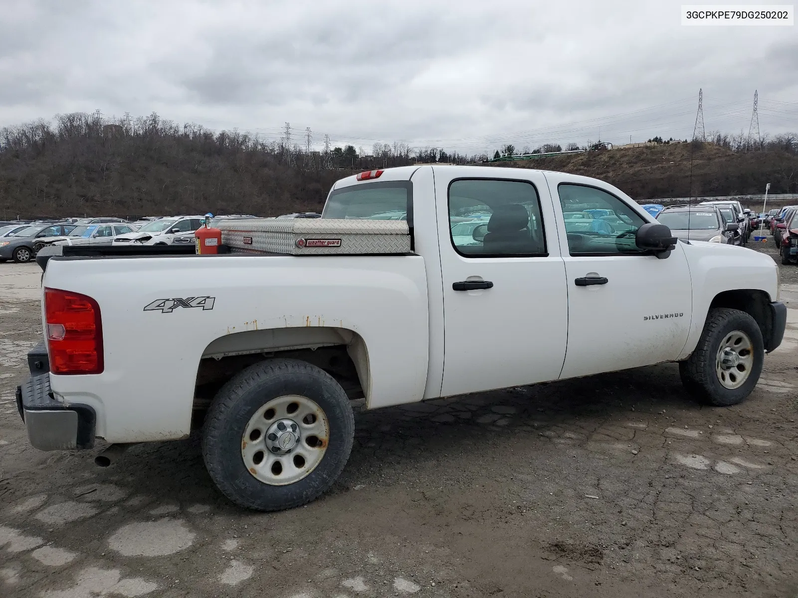 2013 Chevrolet Silverado K1500 VIN: 3GCPKPE79DG250202 Lot: 40336744