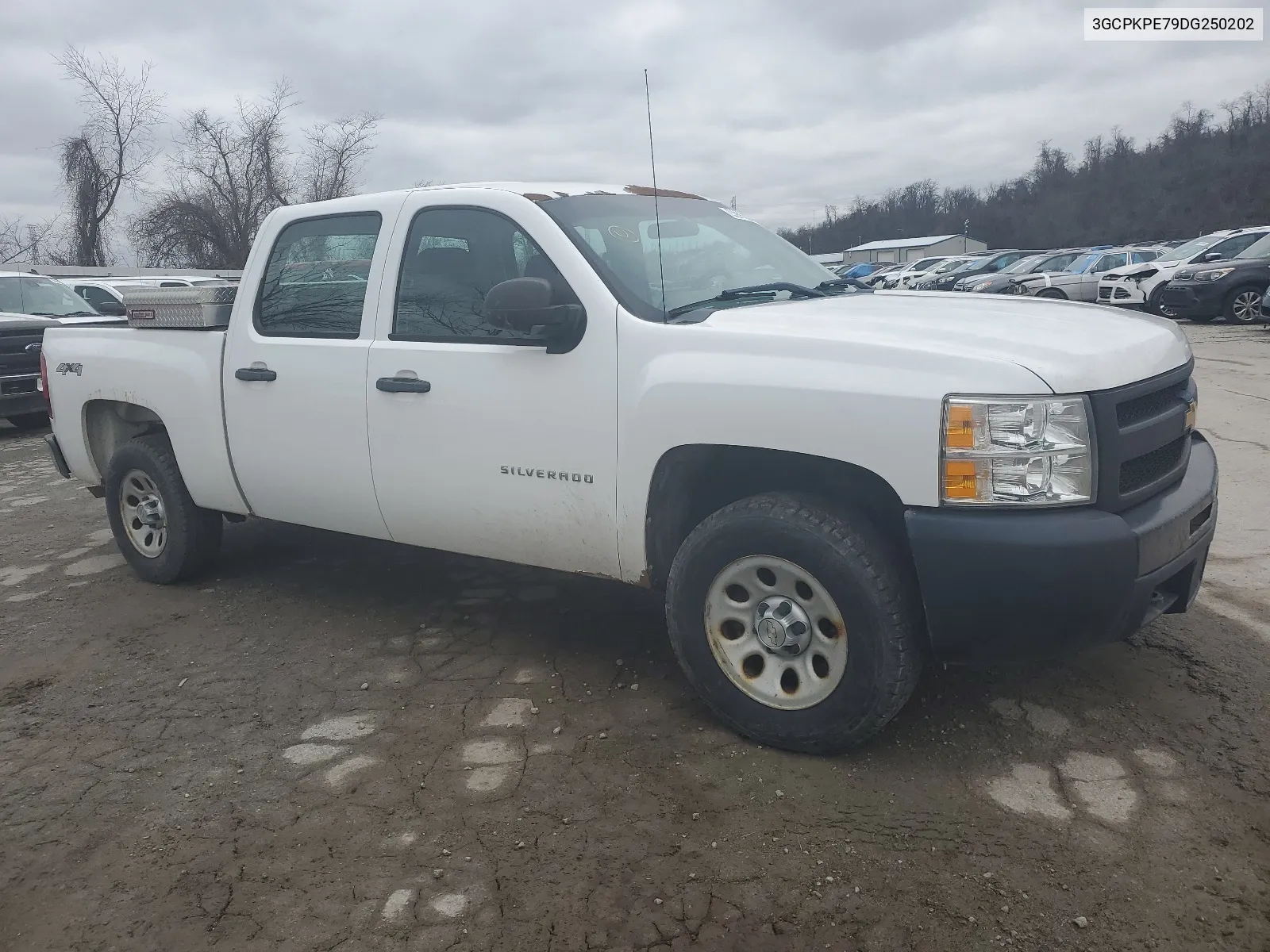 2013 Chevrolet Silverado K1500 VIN: 3GCPKPE79DG250202 Lot: 40336744