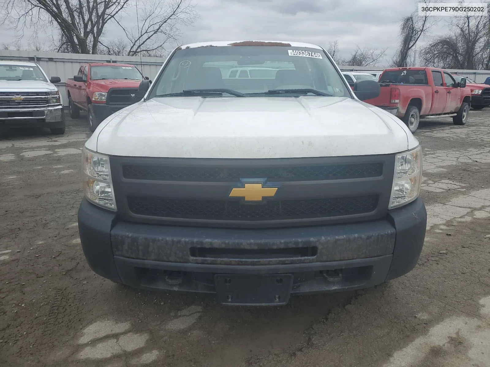 2013 Chevrolet Silverado K1500 VIN: 3GCPKPE79DG250202 Lot: 40336744