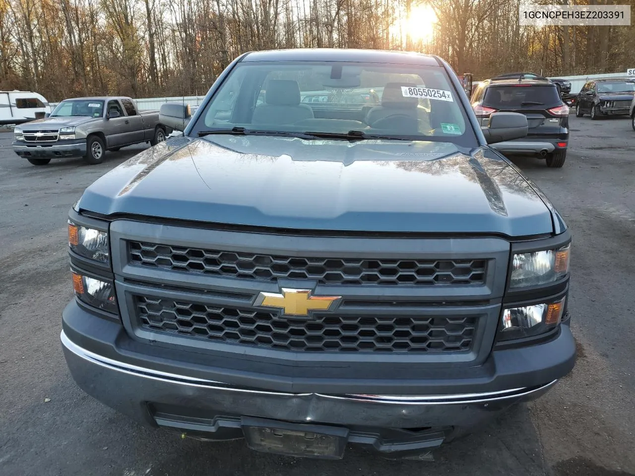 2014 Chevrolet Silverado C1500 VIN: 1GCNCPEH3EZ203391 Lot: 80550254