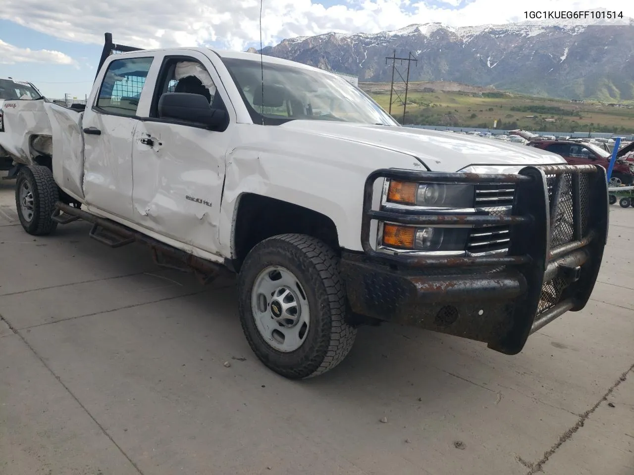 2015 Chevrolet Silverado K2500 Heavy Duty VIN: 1GC1KUEG6FF101514 Lot: 55271954