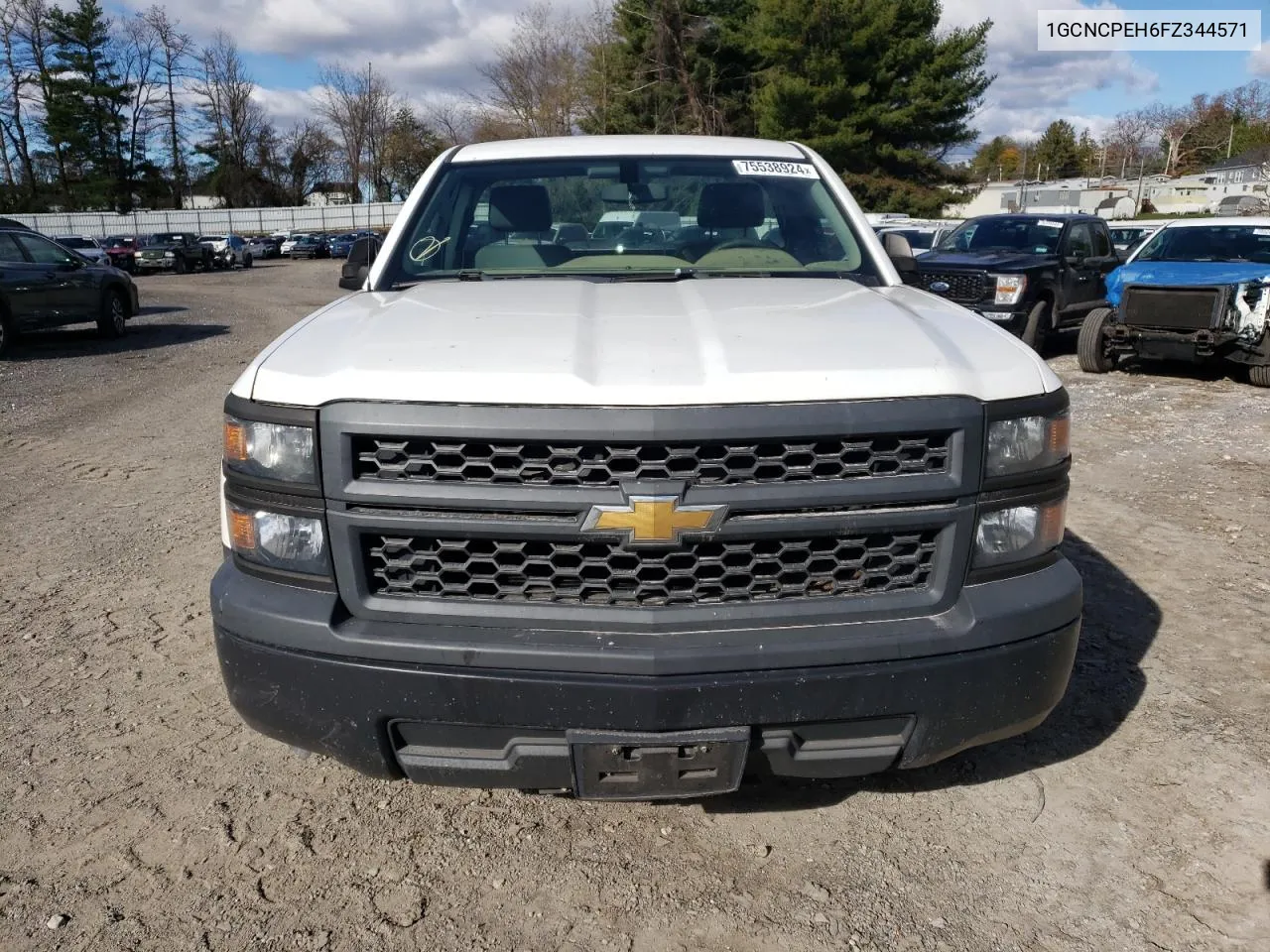 2015 Chevrolet Silverado C1500 VIN: 1GCNCPEH6FZ344571 Lot: 75538924