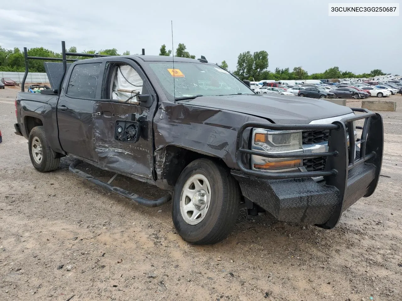 2016 Chevrolet Silverado K1500 VIN: 3GCUKNEC3GG250687 Lot: 61961924