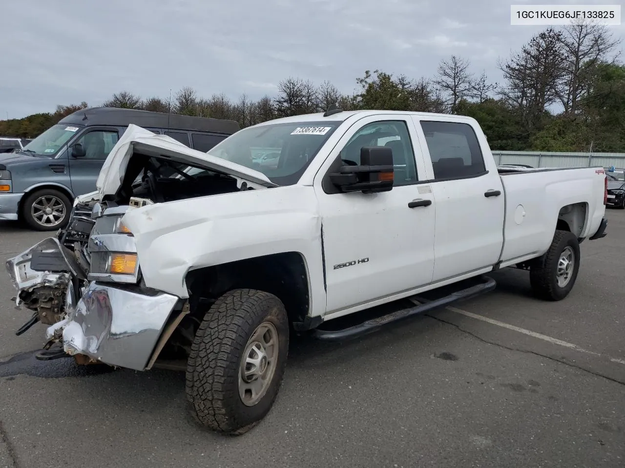 2018 Chevrolet Silverado K2500 Heavy Duty VIN: 1GC1KUEG6JF133825 Lot: 73367614