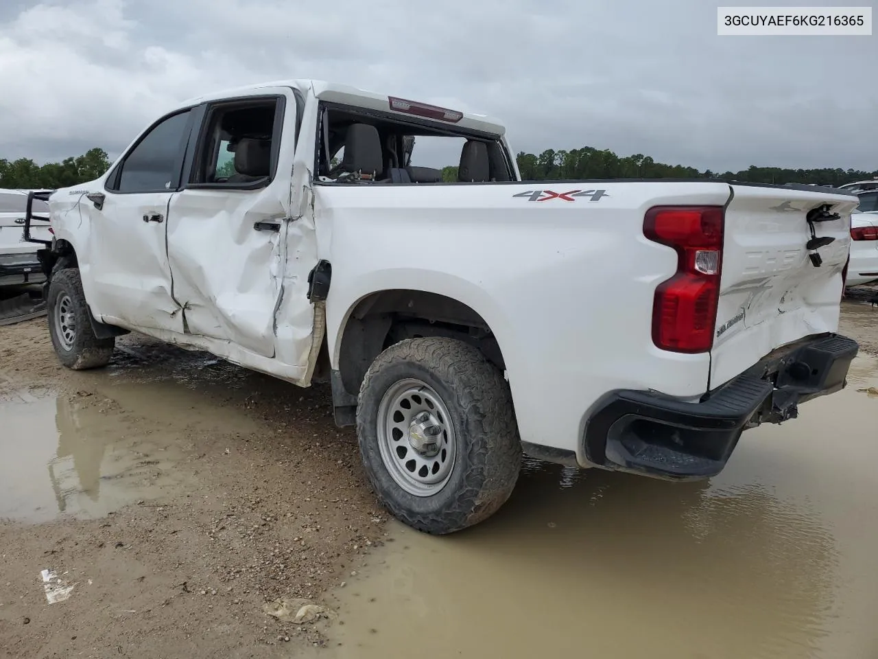 2019 Chevrolet Silverado K1500 VIN: 3GCUYAEF6KG216365 Lot: 70657324