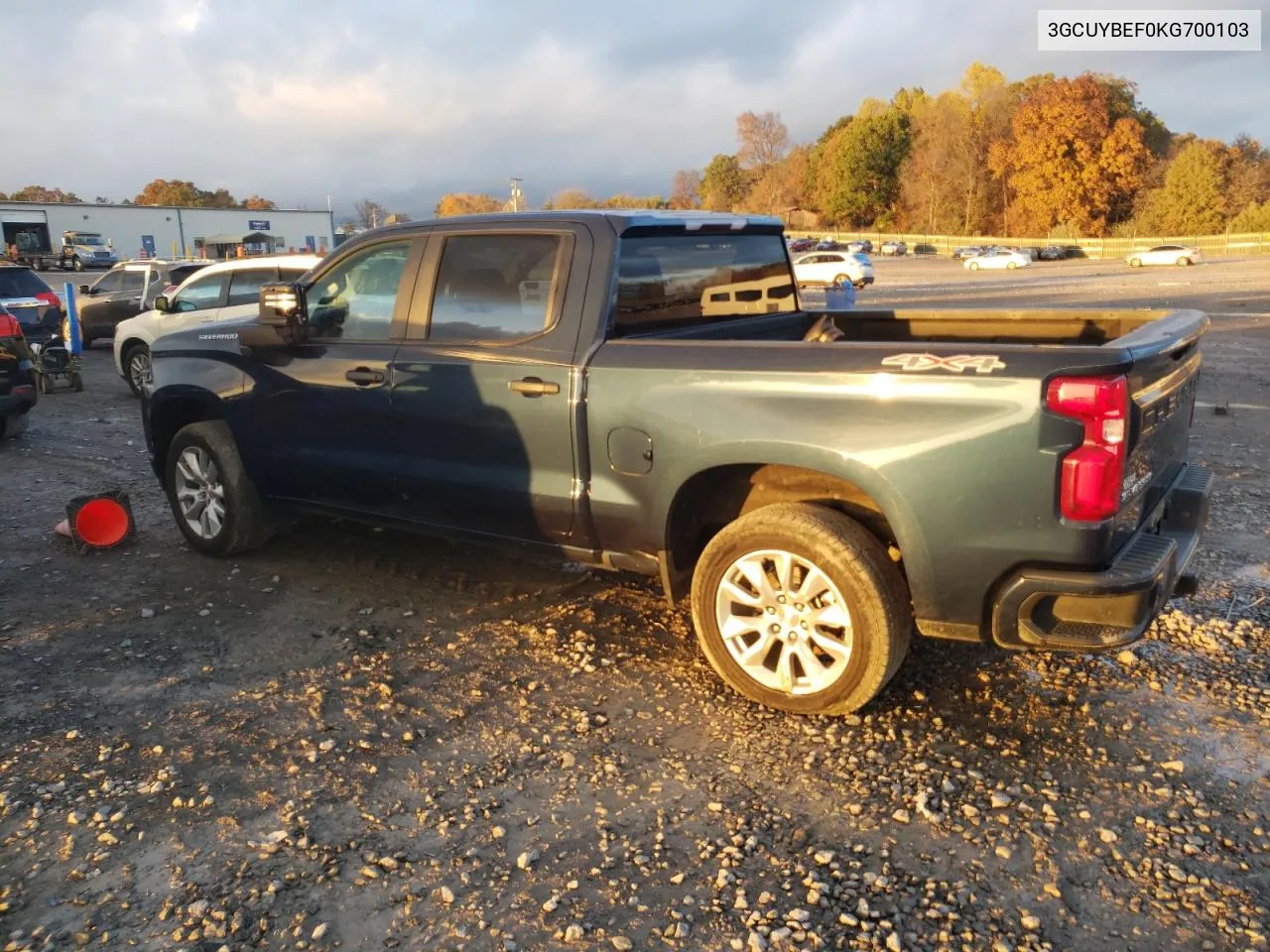 2019 Chevrolet Silverado K1500 Custom VIN: 3GCUYBEF0KG700103 Lot: 78824654