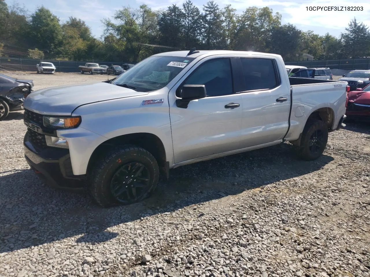 2020 Chevrolet Silverado K1500 Trail Boss Custom VIN: 1GCPYCEF3LZ182203 Lot: 71820834