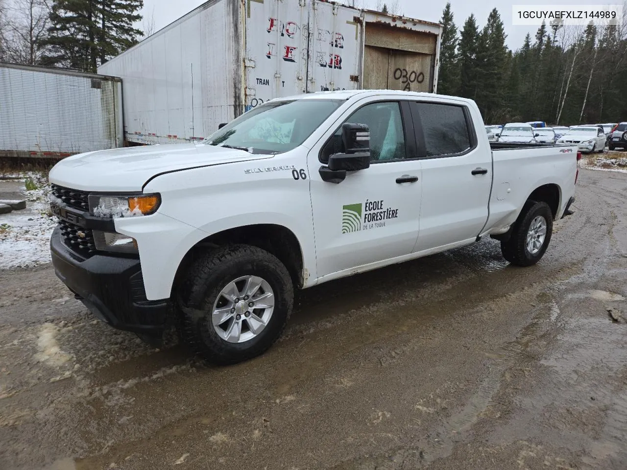 2020 Chevrolet Silverado K1500 VIN: 1GCUYAEFXLZ144989 Lot: 79499894