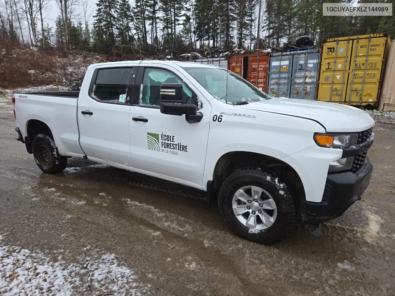 2020 Chevrolet Silverado K1500 VIN: 1GCUYAEFXLZ144989 Lot: 79499894