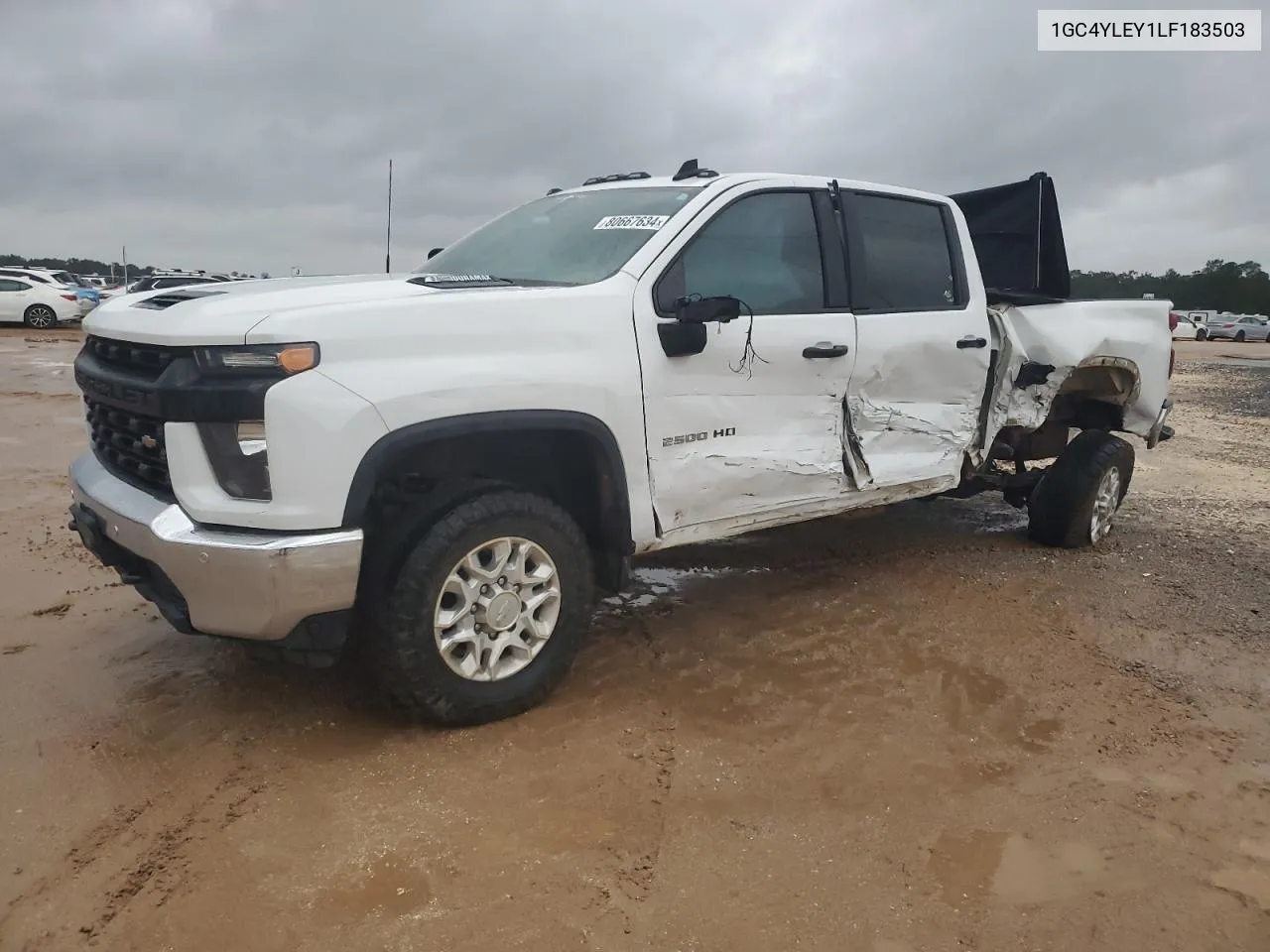 2020 Chevrolet Silverado K2500 Heavy Duty VIN: 1GC4YLEY1LF183503 Lot: 80667634