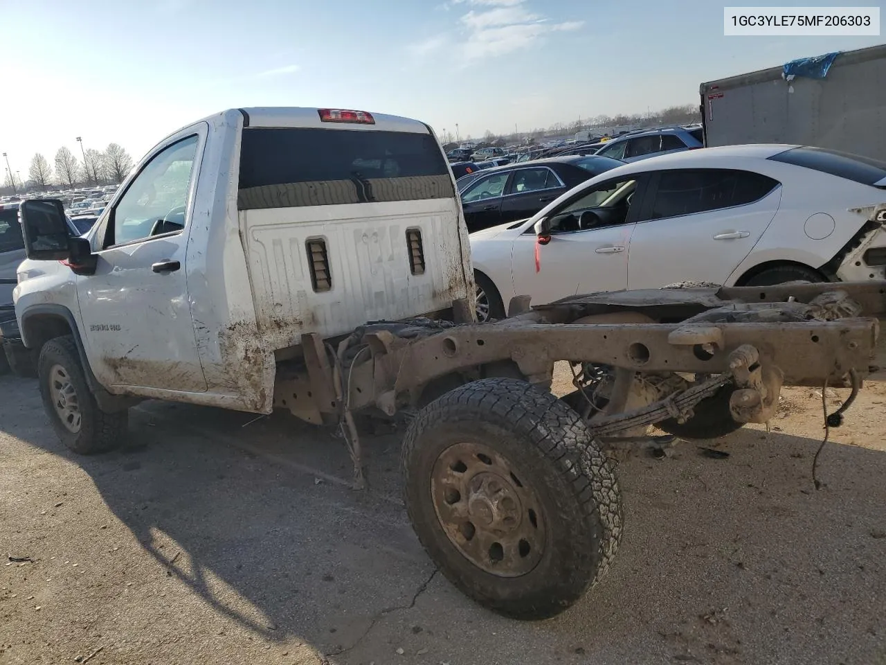 2021 Chevrolet Silverado K2500 Heavy Duty VIN: 1GC3YLE75MF206303 Lot: 62314954