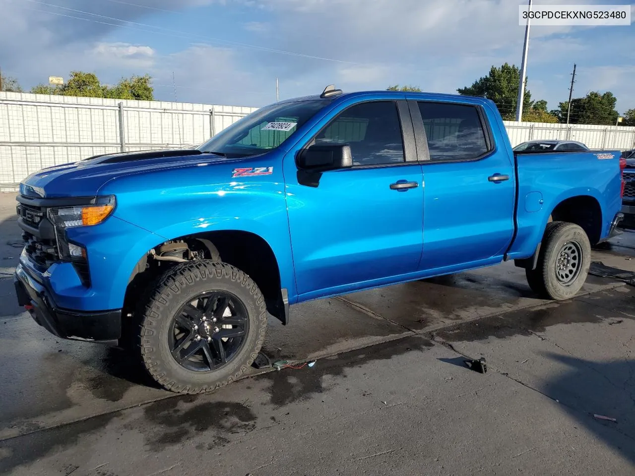 2022 Chevrolet Silverado K1500 Trail Boss Custom VIN: 3GCPDCEKXNG523480 Lot: 73428924